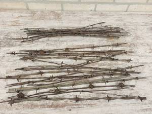 lot 301 image: Antique Barbed Wire Collection - 30 Pieces Approx. 18 Long Each