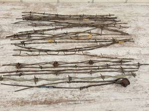 lot 316 image: Antique Barbed Wire Collection - About 25 Pieces  Approx. 18 Long Each