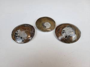 lot 538 image: Set of (3) Fossil Paperweights