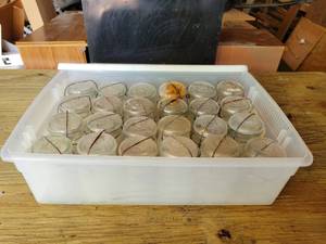 lot 124 image: Lot of (24) Glass Lid and Wire Bail Pint Jars - Ball & Presto - NO SHIPPING