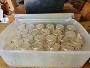 lot 128 image: Lot of (22) Glass Lid and Wire Bail Quart Jars - Ball - NO SHIPPING