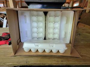 lot 140 image: Case of Foam Egg Cartons - 1 Doz Size - NO SHIPPING