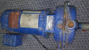 lot 101 image: Shallow well pump.