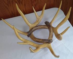 lot 305 image: Decor Antlers.