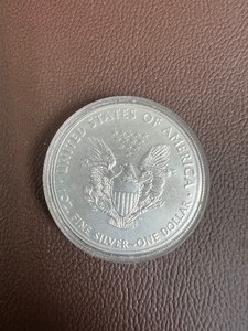 2020 SILVER EAGLE