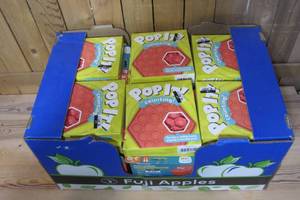 Box of 40 pop it toys NEW