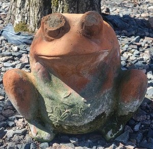 lot 99 image: Terra Cotta Froggy Planter