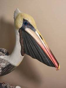 lot 213 image: Stunning Naturalist Fine Art Wood Carving - Pelican