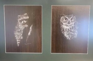 lot 220 image: Framed Naturalist Etchings on Scratchboard by Steve Schnarr - Nocturnals