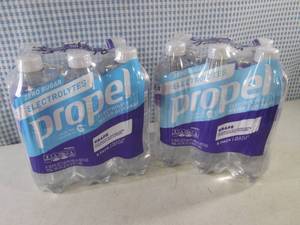 (C-2) Propel Grape 2 6-Packs 16.9oz...