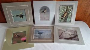 lot 42 image: Matted Bird Prints (6).