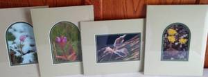 lot 58 image: Flowers Matted Pictures (4).
