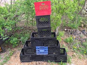 lot 35 image: 12 Plastic Storage Crates