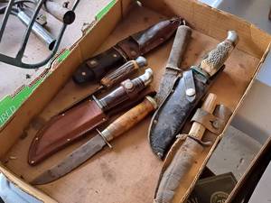 lot 280 image: Lot of (7) Fixed Blade Knives
