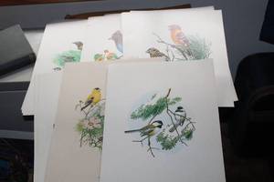 lot 566 image: Lot of (19) Bird theme Prints