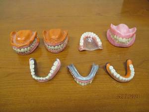 lot 19 image: Model teeth...