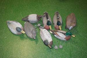lot 31 image: 8 Duck Decoys