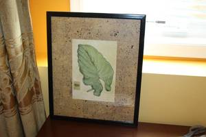 lot 945 image: Leaf theme Framed Wall Art