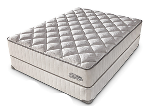 lot 8 image: Brand New Denver Mattress Co. Madison Plush Queen Mattress