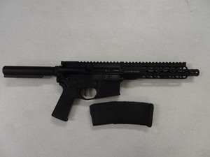 Stag Arms Stag 15