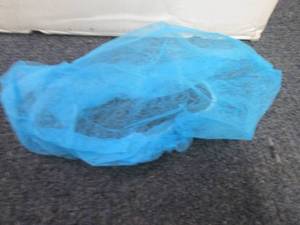 Case of 1000 Blue Bouffant Caps...