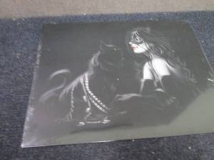 Metal Cat Sign 16x12.5 inches...