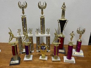 lot 57 image: Assortment of Trophies