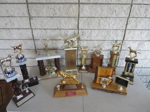 lot 115 image: 10 Piece Lot of Assorted Trophies