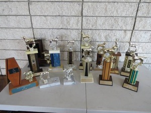 lot 119 image: 14 Piece Lot of Assorted Trophies