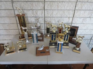 lot 120 image: 14 Piece Lot of Assorted Trophies