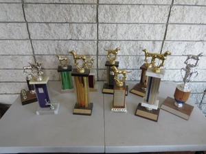 lot 121 image: 10 Piece Lot of Assorted Trophies