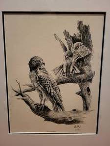 lot 48 image: Don Balke Red-Tailed Hawk