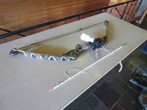 lot 157 image: Bow Fishing Compound Bow with Soft Side Camouflage Case