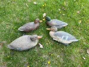 lot 38 image: Duck Decoys