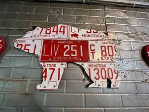 lot 169 image: License Plate Art - Bear with Manitoba Plates