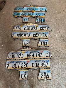lot 182 image: License Plate Art - 3 Bison with ND Plates - 29 Long