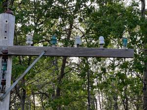 lot 234 image: Telephone Pole & Glass Insulators