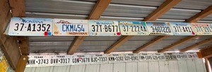 lot 488 image: &nbspTexas & Montana License Plates