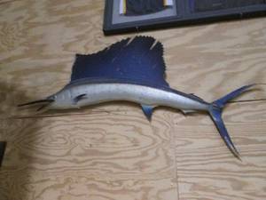 lot 3 image: Wall mounted fiberglass blue Marlin...