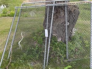 lot 612 image: 3 Sections of fencing or dog kennel parts