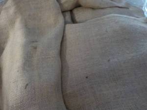 lot 227 image: 38 Gunny Sacks...