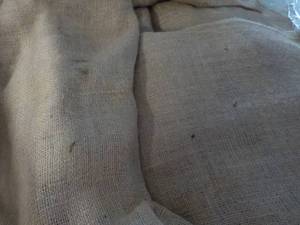 lot 228 image: 38 Gunny Sacks...