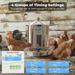 lot 41 image: ChiPak Automatic Chicken Feeder with Timer