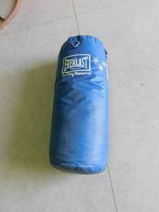 lot 153 image: Med. Everlast punching bag