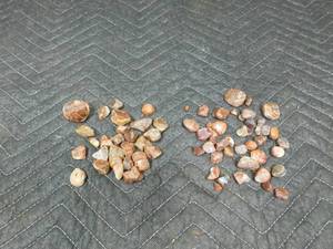 lot 197 image: polished and raw agates