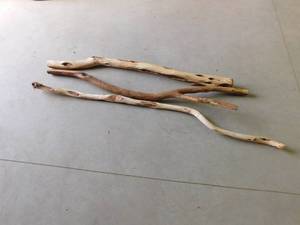 lot 447 image: 3 sticks of Diamond Willow