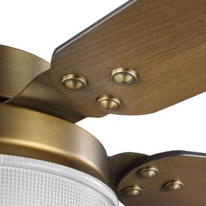 Progress Lighting Tempt Collection 52 Five Blade Ceiling Fan 785247240401