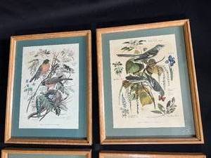 lot 2 image: 4 Framed Paintings by Arthur Singer - Birds & Plants - Lot 1