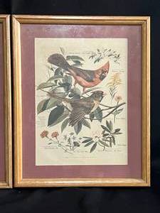 lot 3 image: 3 Framed Paintings by Arthur Singer - Birds & Plants - Lot 2