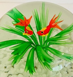 lot 217 image: Vibrant Fish Themed Paperweight